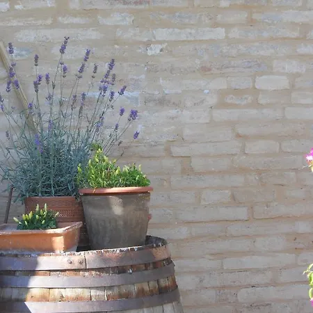 Bassari Farm stay Recanati