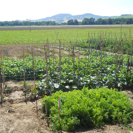 Bassari Farm stay Recanati