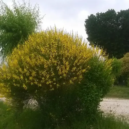 Bassari Farm stay Recanati