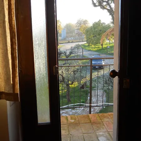 Bassari Farm stay