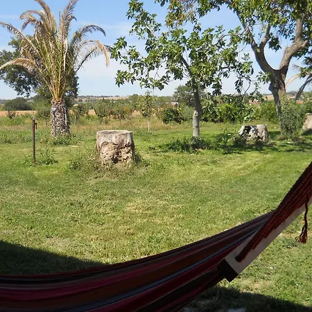 Bassari