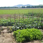 Bassari Lantgård Recanati