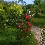 Bassari