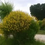 Bassari Lantgård Recanati
