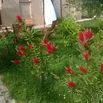 Bassari Recanati