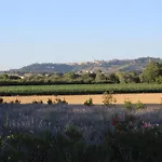 Bassari * Recanati
