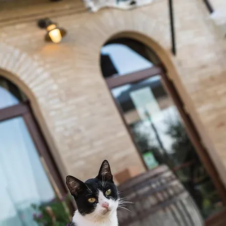 Séjour à la ferme Bassari