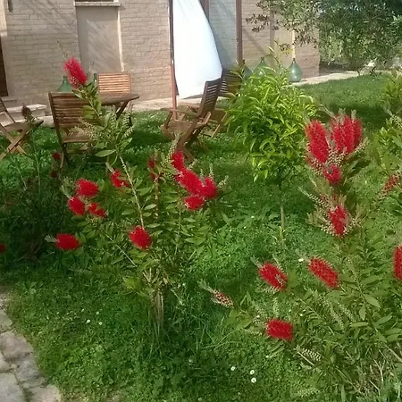 Bio Bassari Ρεκανάτι