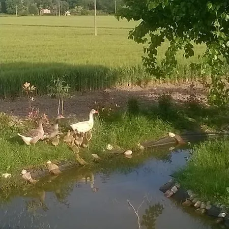 Bio Bassari Séjour à la ferme