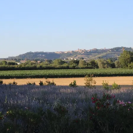 Bio Bassari * Recanati